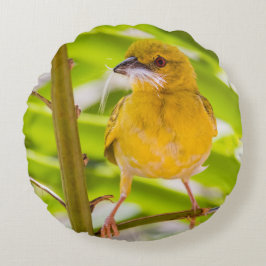 Coussins Ronds Il est temps de construire le nid