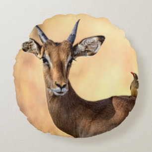 Coussins Ronds Impala et Oiseau d'Oxpecker en Afrique