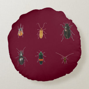 Coussins Ronds Insectes 2011