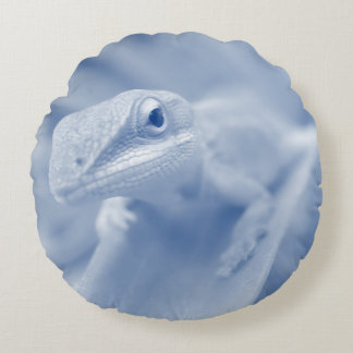 Coussins Ronds Joyeuse Anole