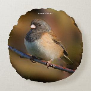 Coussins Ronds Junco à l'oeil foncé sur un membre