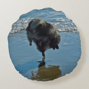 Coussins Ronds Keeshond Ballet Photographie - Joli chien d'origin