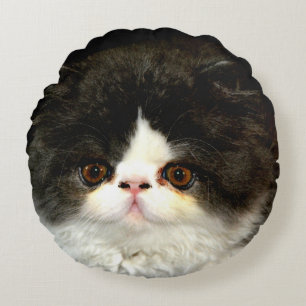 Coussins Ronds Kitten noir et blanc
