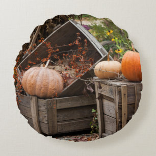 Coussins Ronds La Caroline du Nord, Linville, citrouilles