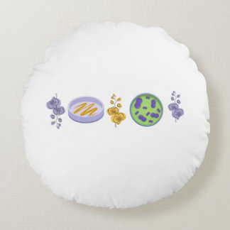 Coussins Ronds Lab Glassware and Flowers 2022
