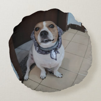 Coussins Ronds Leo the sweet and friendly jack russell