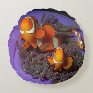 Coussins Ronds Les poissons clowns sont toujours en mouvement A