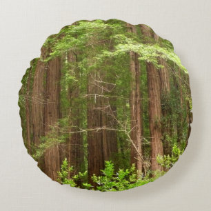 Coussins Ronds Les séquoias au monument national de Muir Woods