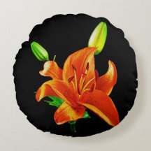 Lily orange sur noir
