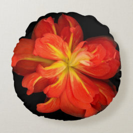 Coussins Ronds Macro Orange Begonia