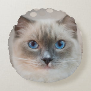 Coussins Ronds Magnifique chat Ragdoll sur beige