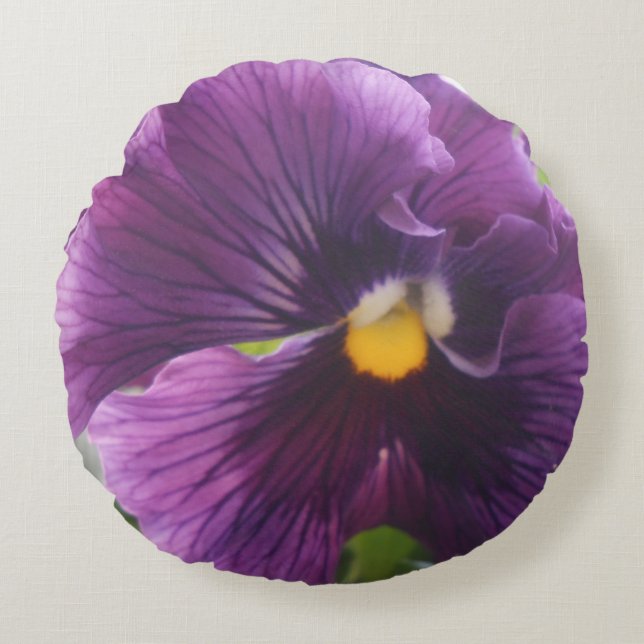 Coussins Ronds Maîtresse (Devant)