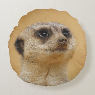 Coussins Ronds Meerkat 037