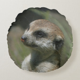 Coussins Ronds Meerkat 043