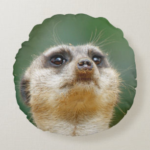 Coussins Ronds Meerkat 051