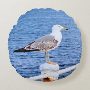 Coussins Ronds Mouette Constanta Roumanie – Photographie de la me