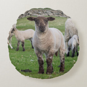 Coussins Ronds Mouton des Shetland
