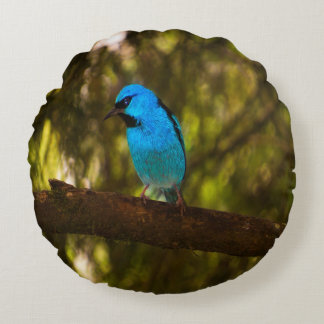 Coussins Ronds Oiseau bleu clair