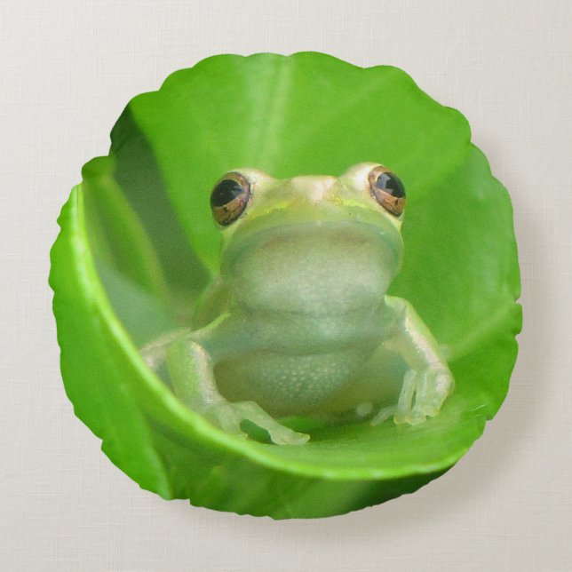Coussins Ronds Oreiller à lancer de grenouille à arbre vert (Devant)