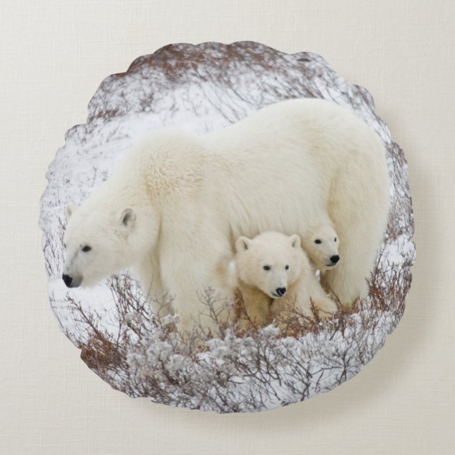 Coussins Ronds Ours polaire femelle et deux petits (Devant)