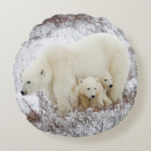 Coussins Ronds Ours polaires femelle et deux oursons