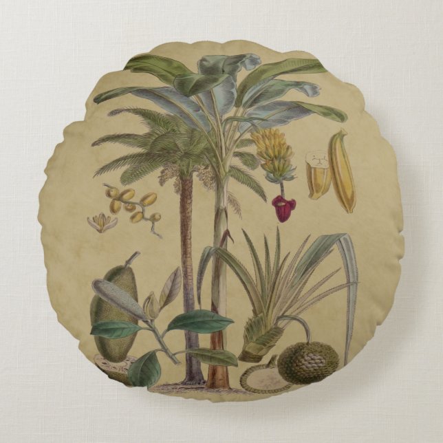 Coussins Ronds Palm Antique Fruit Tropical Art Botanique (Devant)