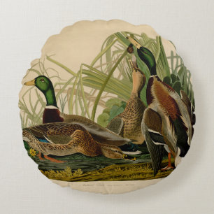 Coussins Ronds Peinture d'oiseaux de Mallard Duck Audubon