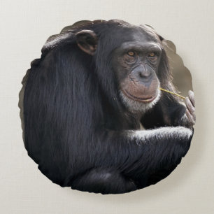 Coussins Ronds Pensez À Monkeying