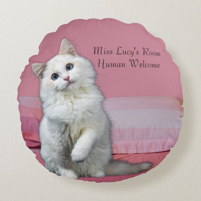 Coussins Ronds Personnaliser Tour Chat Jeu Oreiller rose (Devant)