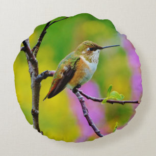 Coussins Ronds Petit colibri gras