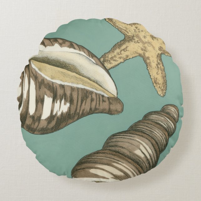 Coussins Ronds Petit trio Shell Turquoise (Devant)
