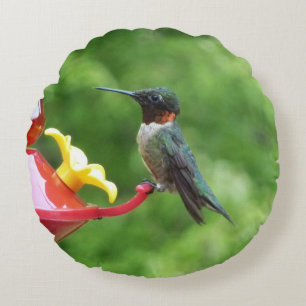 Coussins Ronds Photographie d'oiseau Colibri à gorge rubis