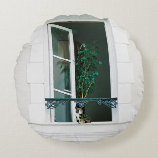 COUSSINS RONDS PLANTE VERT SUR FENÊTRE BLANCHE