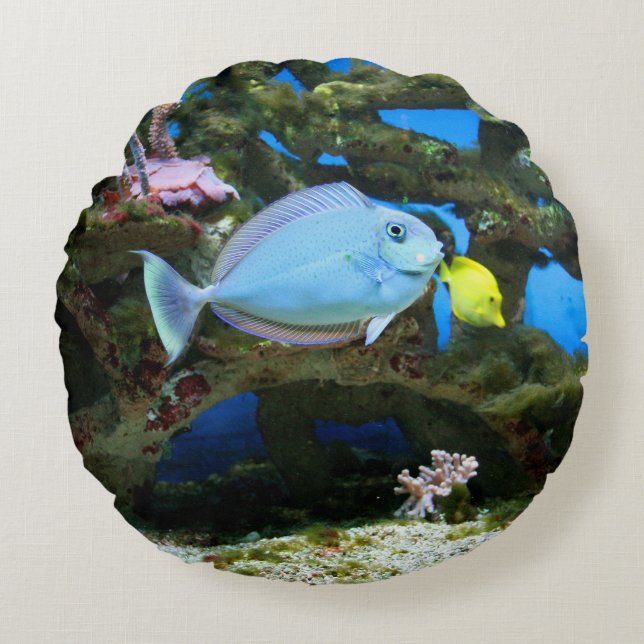 Coussins Ronds Poissons de bleu de mer (Devant)