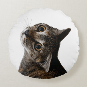 Coussins Ronds Portrait de chat tigré artistique Photo