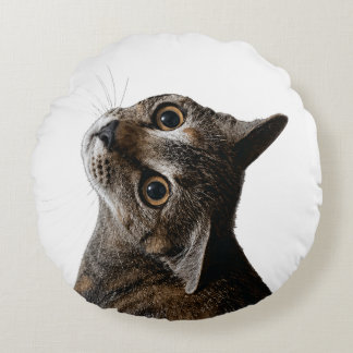 Coussins Ronds Portrait de chat tigré artistique Photo
