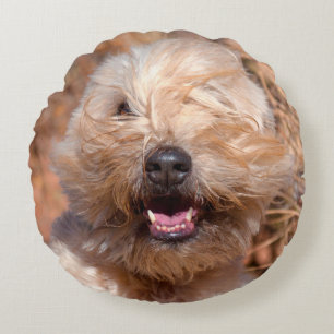 Coussins Ronds Portrait de Terrier Wheaten à poil doux
