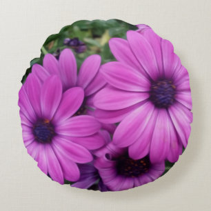 Coussins Ronds Purple daisies