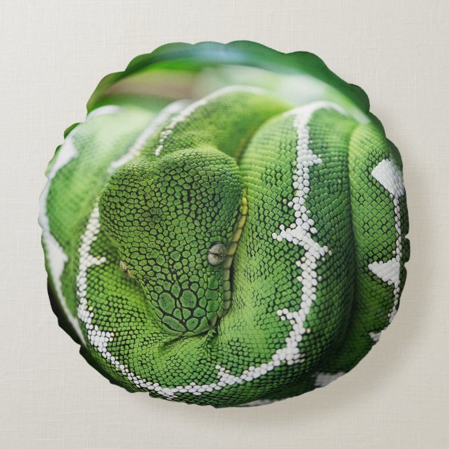 Coussins Ronds Python (Devant)