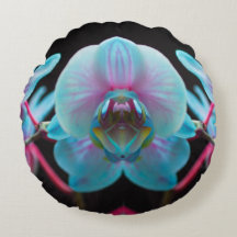 Réflection de l'orchid bleu exotic