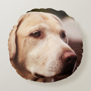 Coussins Ronds Retriever du Labrador