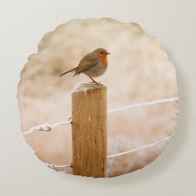 Coussins Ronds Robin d'hiver Redsein (Devant)