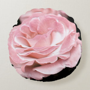 Coussins Ronds Rose rose en pleine floraison