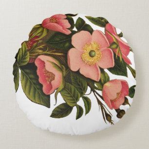 Coussins Ronds Roses Anciennes Jolies Roses Botaniques Roses