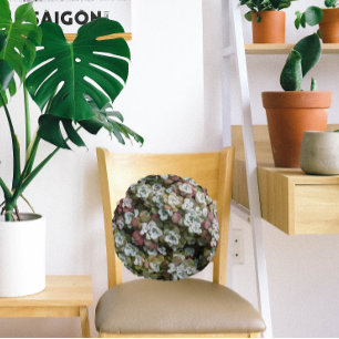 Coussins Ronds Sedum Spathulifolium Succulents Floral