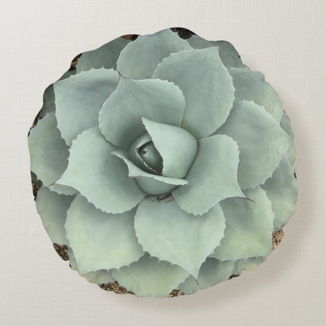 Coussins Ronds Succulent gris frais d'agave (Dos)