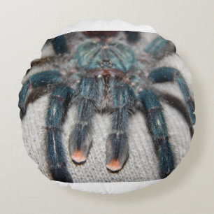 Coussins Ronds tarantule bleue