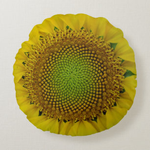Coussins Ronds Tournesol et graines, Spirale, Ratio doré