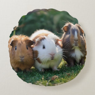 Coussins Ronds Trois bébés cochons de Guinée,