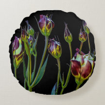 Tulipes pourpres éthérées